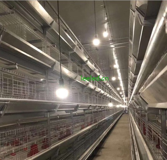 籠養(yǎng)型雞場led燈泡,雞舍led調(diào)光照明應(yīng)用