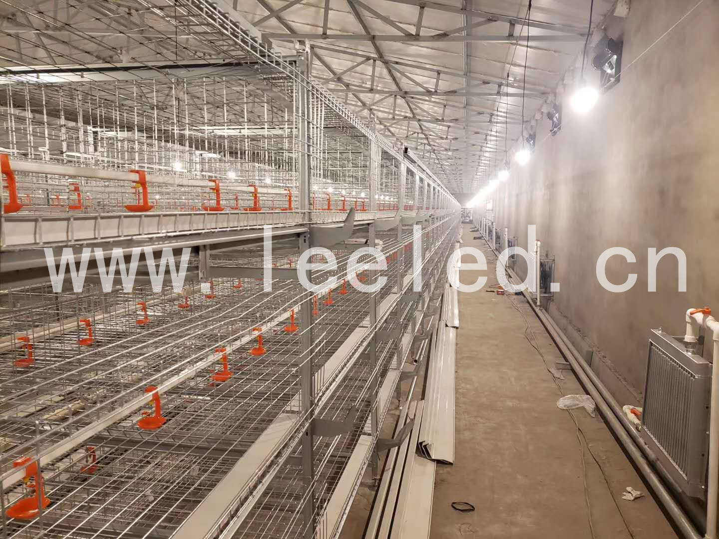 led雞舍專用燈泡案例